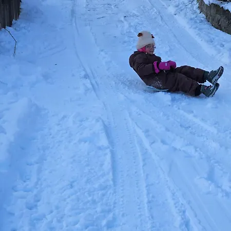 Otulina Park Bed & Breakfast Szczawnica