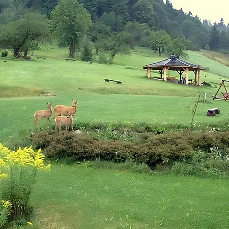 Otulina Park