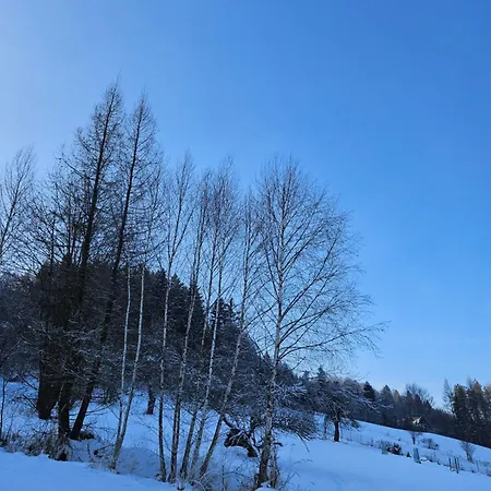 Otulina Park Szczawnica