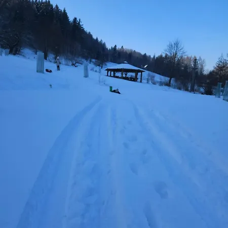 Otulina Park Nocleg ze śniadaniem